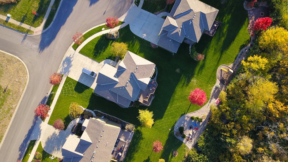 Immobilier : vrai réveil ou simple sursaut printanier en 2025 ? 🌸🏡