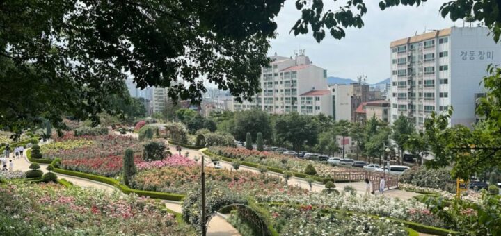 Logements vs Poumons Verts : Comment réconcilier urbanisme et espaces naturels en ville ?