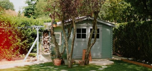 Studio de jardin : agrandir sans déménager, la vraie bonne idée ?