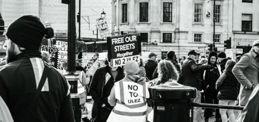 « Stop à la bétonisation » : pourquoi les riverains bloquent de plus en plus de projets immobiliers en 2026